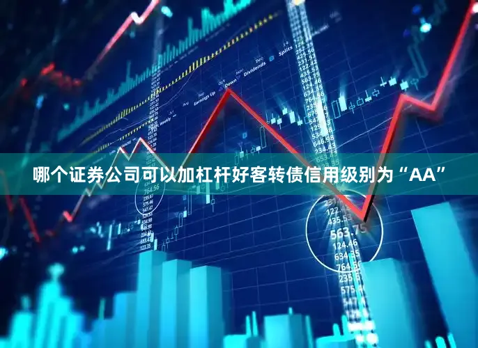 哪个证券公司可以加杠杆好客转债信用级别为“AA”