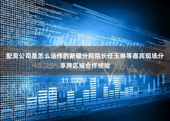 配资公司是怎么运作的新疆分院院长任玉琳等嘉宾现场分享跨区域合作经验