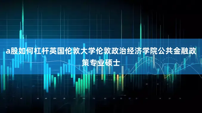 a股如何杠杆英国伦敦大学伦敦政治经济学院公共金融政策专业硕士