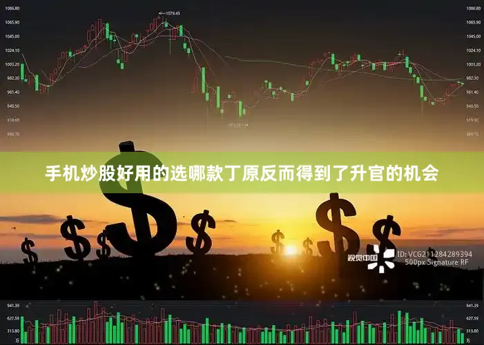 手机炒股好用的选哪款丁原反而得到了升官的机会