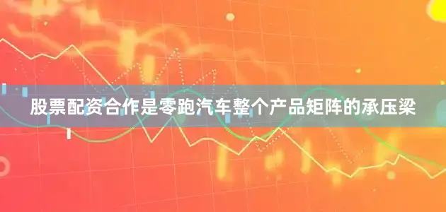 股票配资合作是零跑汽车整个产品矩阵的承压梁