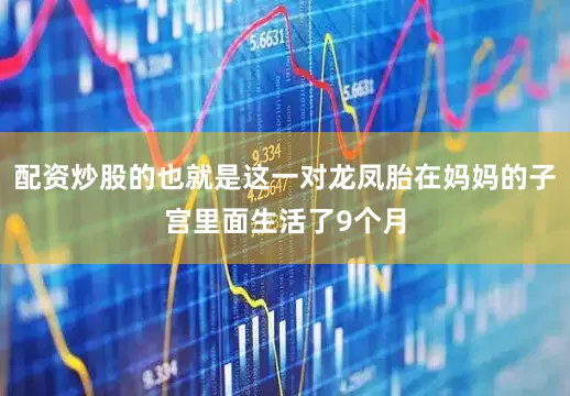 配资炒股的也就是这一对龙凤胎在妈妈的子宫里面生活了9个月